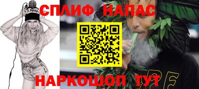 мяу мяу мука Моздок