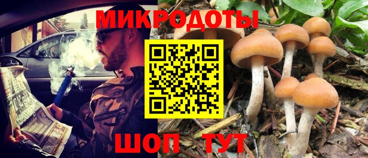 Псилоцибиновые грибы Psilocybe Кинешма